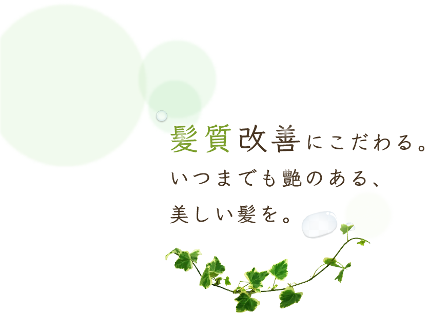 髪質改善にこだわる。いつまでも艶のある、美しい髪を。