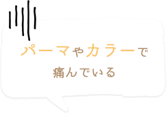 パーマやカラーで 痛んでいる