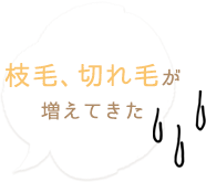 枝毛、切れ毛が 増えてきた