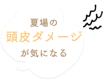 夏場の 頭皮ダメージ が気になる