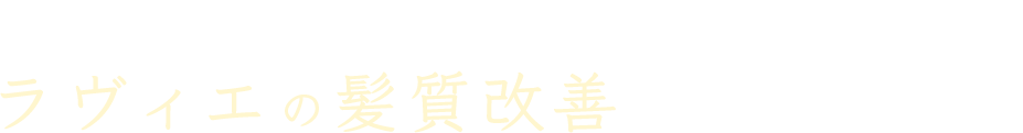 上記のお悩みに当てはまる方はラヴィエの髪質改善をお試しください